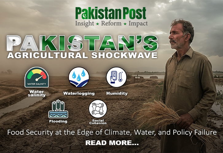 Pakistan’s Agricultural Shockwave & Food Security